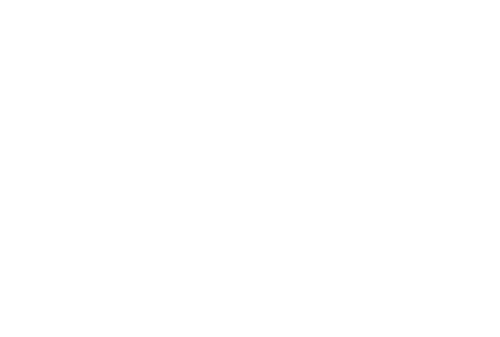 BLUETANG ®